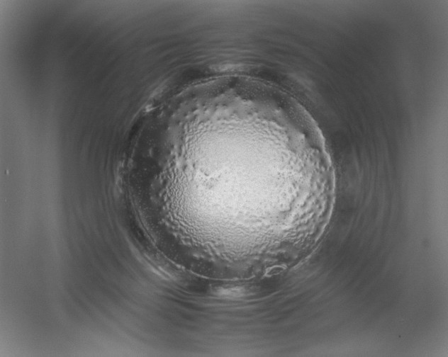 X0000054410171200508121734