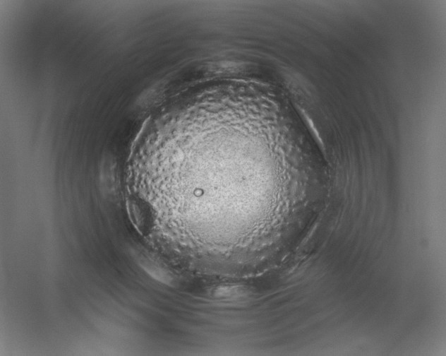 X0000054410173200508121735