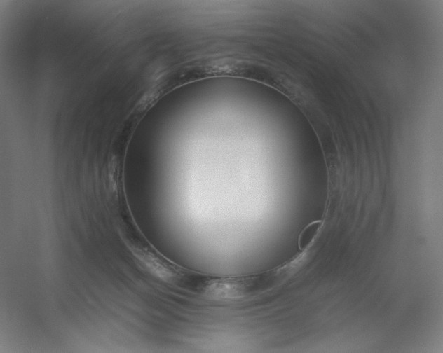 X0000054410174200508121735