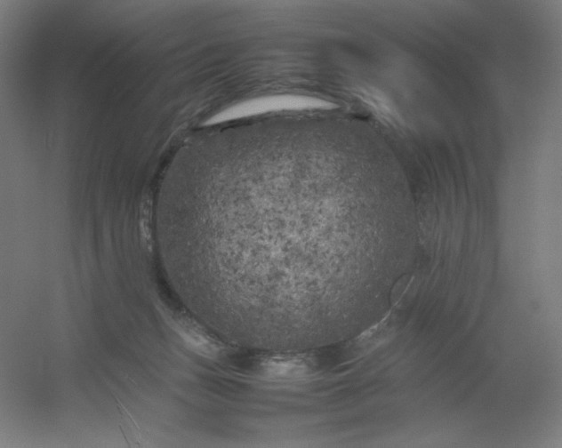 X0000054410175200508121735