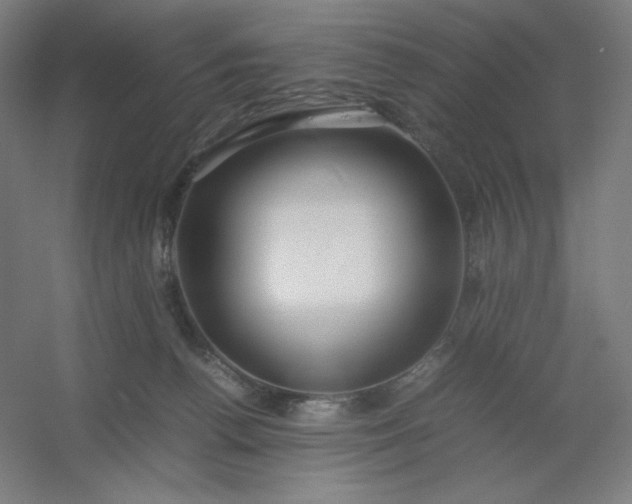 X0000054410176200508121735