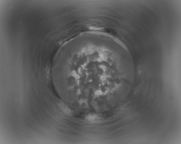 X0000054410177200508121735