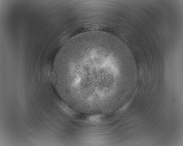 X0000054410178200508121735