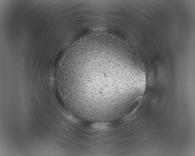 X0000054410179200508121735