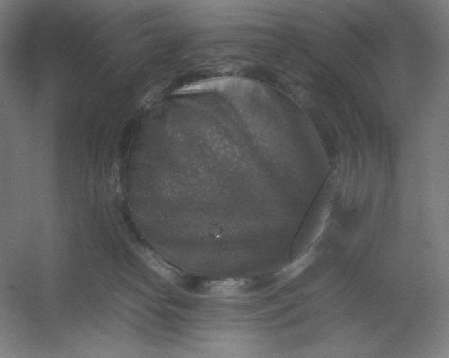 X0000054410182200508121735