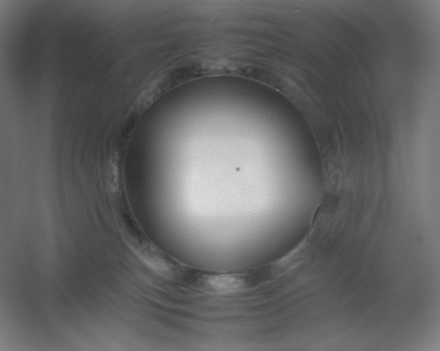 X0000054410183200508121735