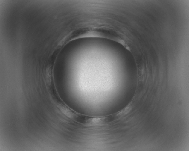 X0000054410184200508121735