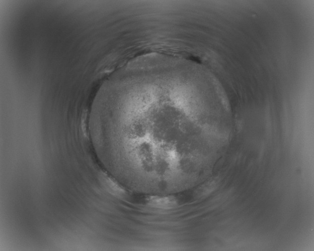 X0000054410185200508121735