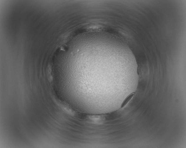 X0000054410187200508121735