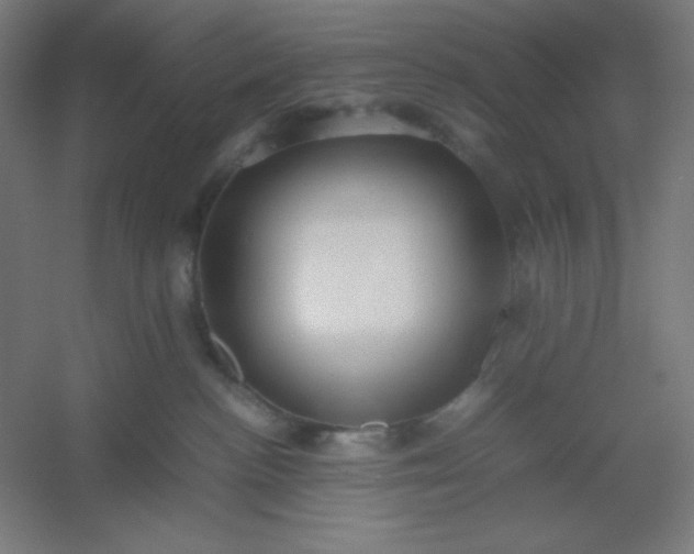 X0000054410188200508121735