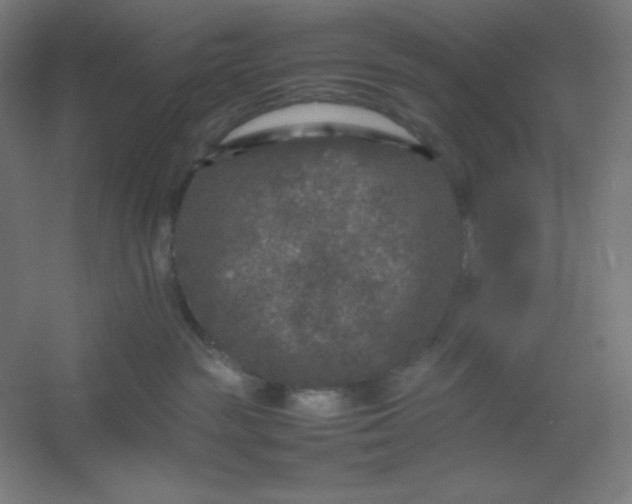 X0000054410189200508121735