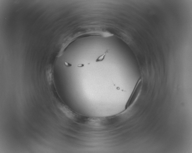 X0000054410190200508121735