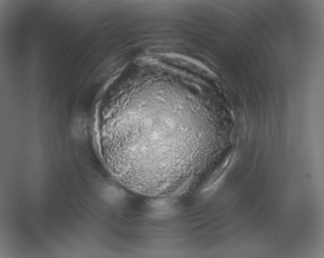 X0000054410191200508121735