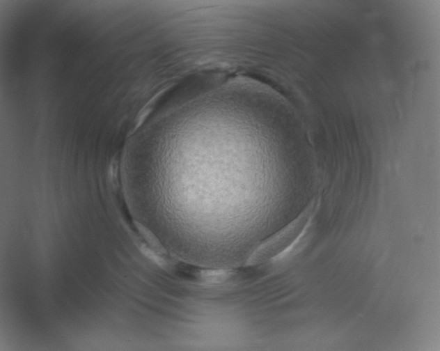 X0000054410192200508121735