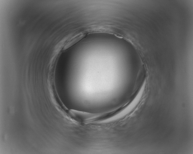 X0000054410193200508121734