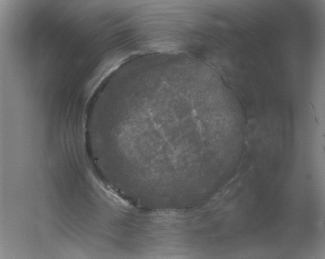 X0000054410194200508121734