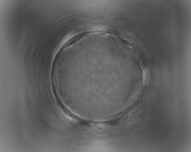 X0000054410195200508121734