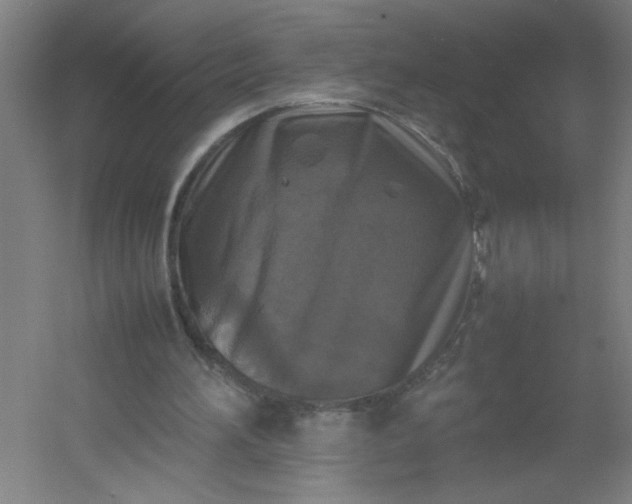 X0000054410196200508121734