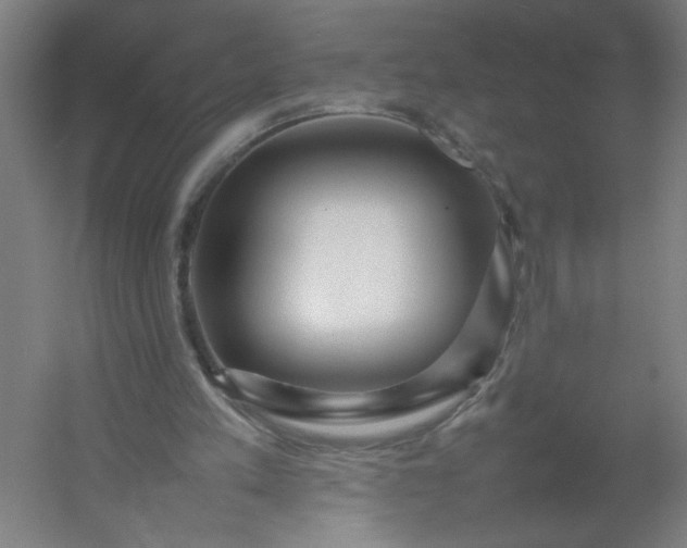 X0000054410197200508121734