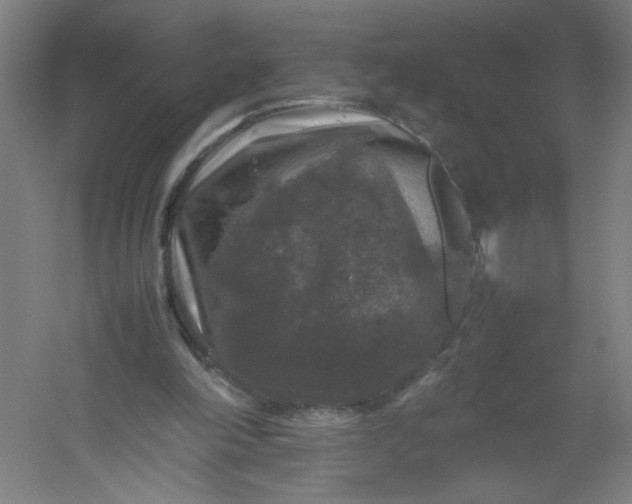 X0000054410198200508121734