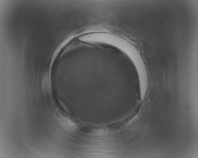 X0000054410200200508121734