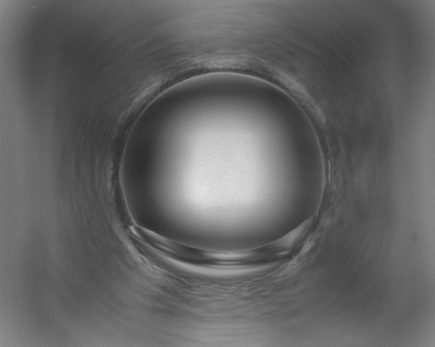 X0000054410201200508121734