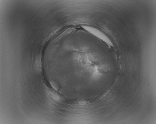 X0000054410202200508121734