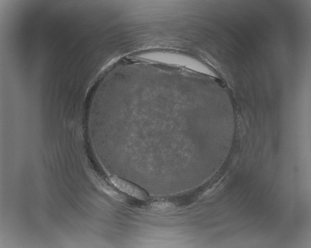 X0000054410203200508121734