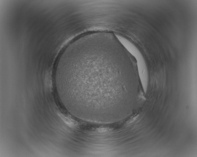 X0000054410204200508121734