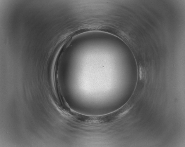 X0000054410205200508121734