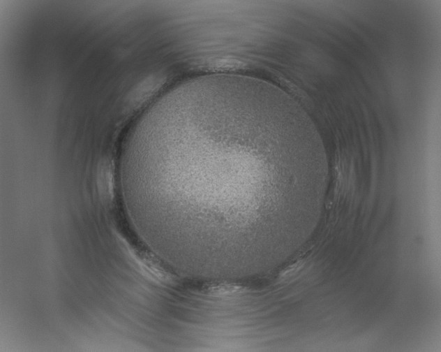 X0000054410206200508121734