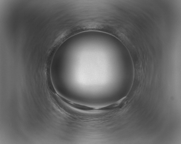 X0000054410207200508121734