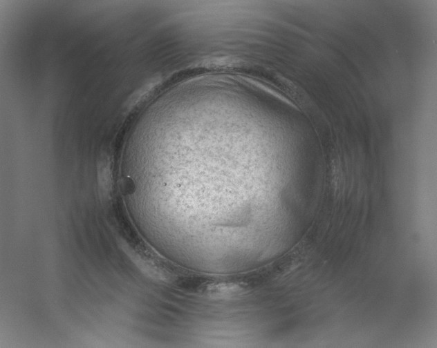 X0000054410208200508121734