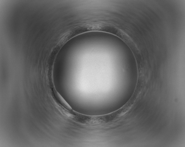 X0000054410209200508121734