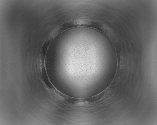 X0000054410210200508121734