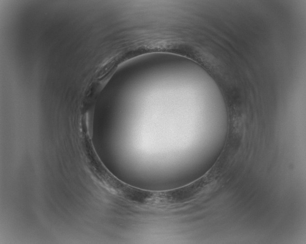 X0000054410211200508121734