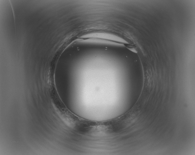 X0000054410212200508121734