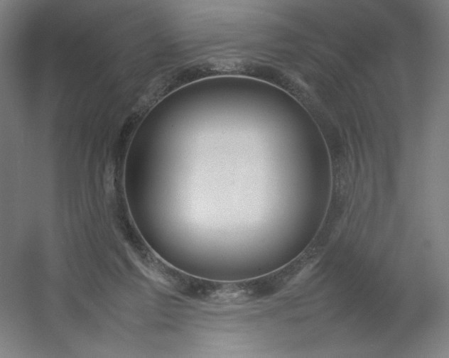 X0000054410213200508121734