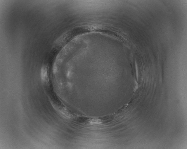 X0000054410214200508121734