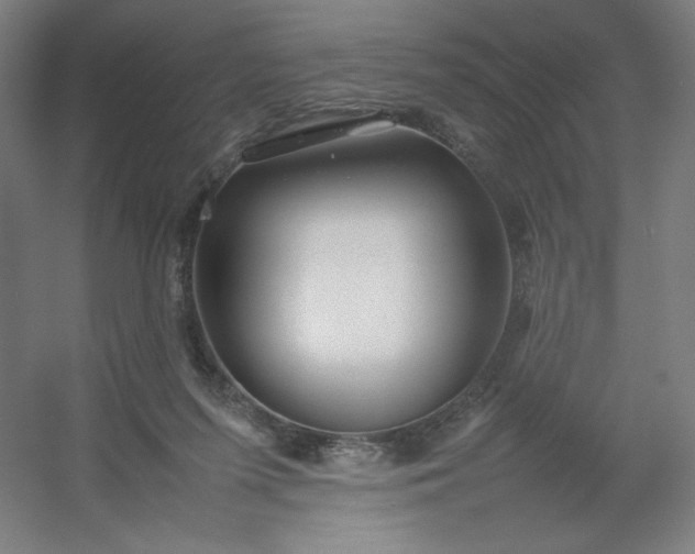 X0000054410215200508121734