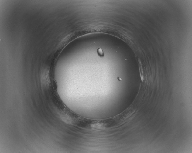 X0000054410216200508121734