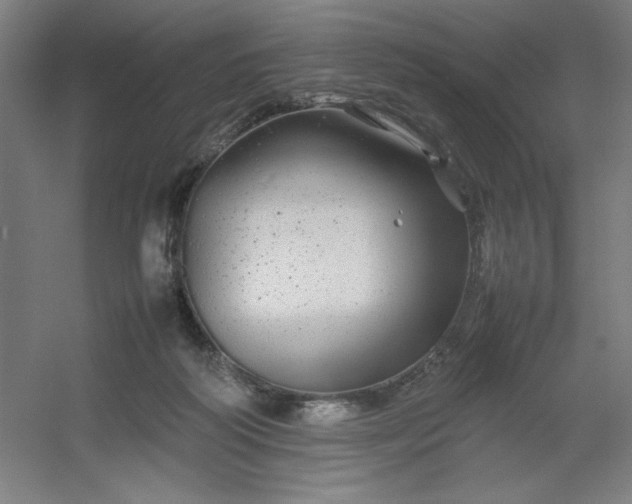 X0000054410218200508121734