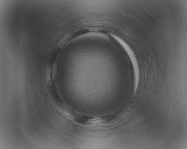 X0000054410219200508121734