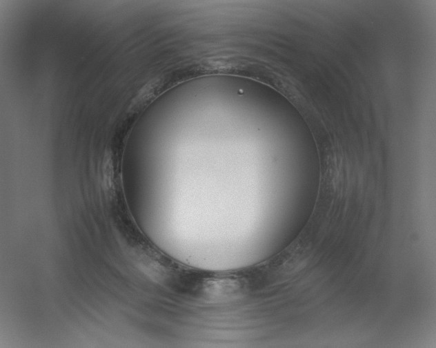 X0000054410220200508121734