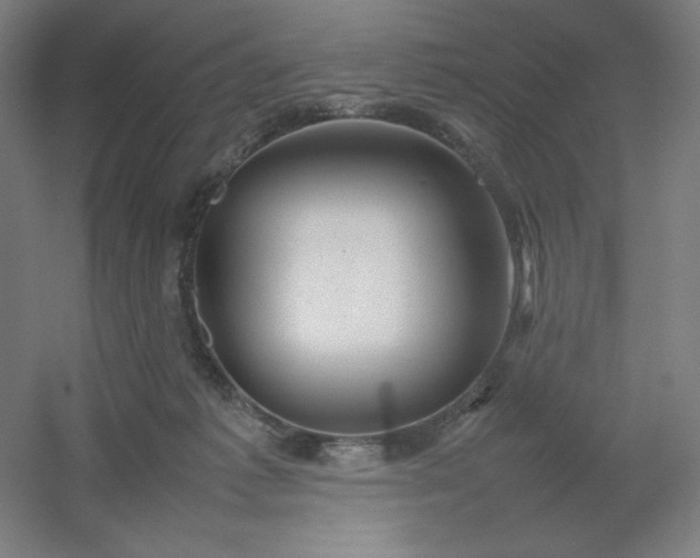 X0000054410221200508121734