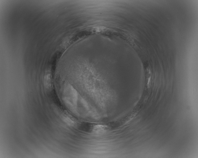 X0000054410222200508121734