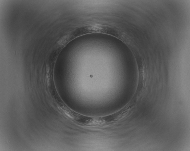 X0000054410223200508121733