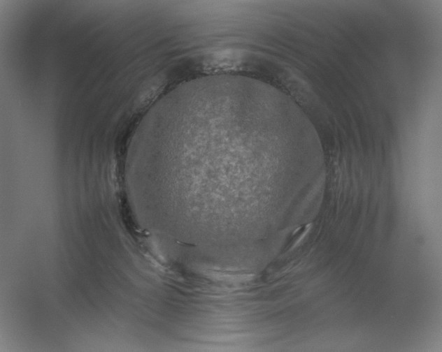 X0000054410224200508121733