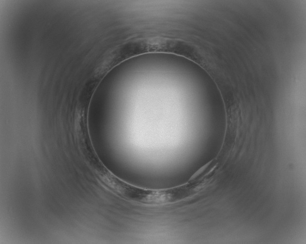 X0000054410225200508121733