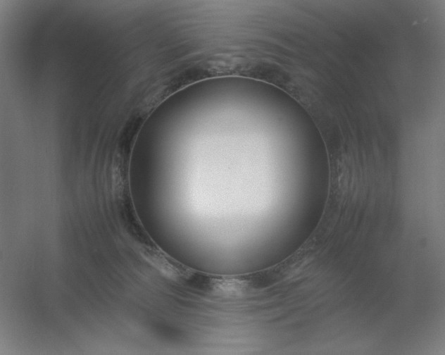 X0000054410226200508121733